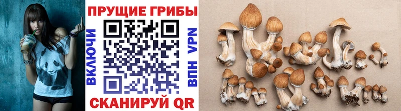 hydra ссылка  Ермолино  Псилоцибиновые грибы MAGIC MUSHROOMS  закладка 